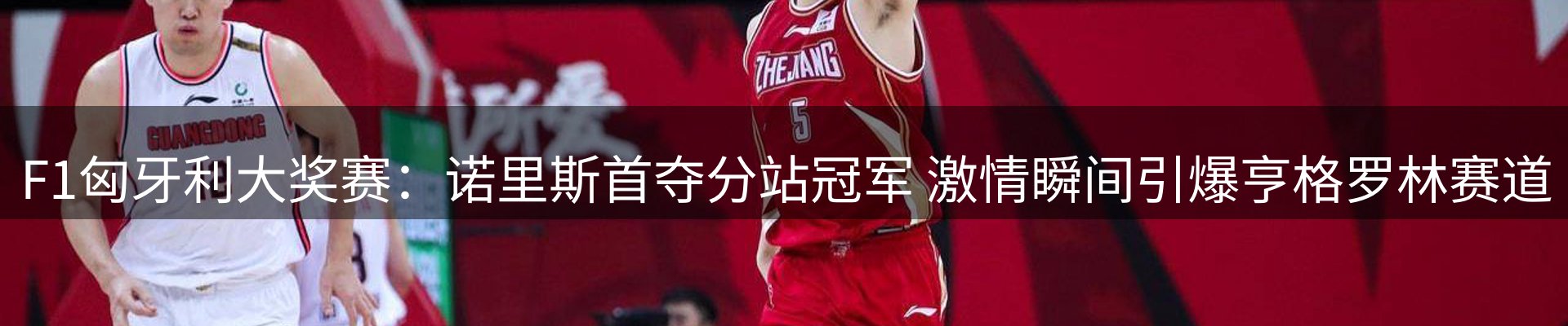 新闻动态